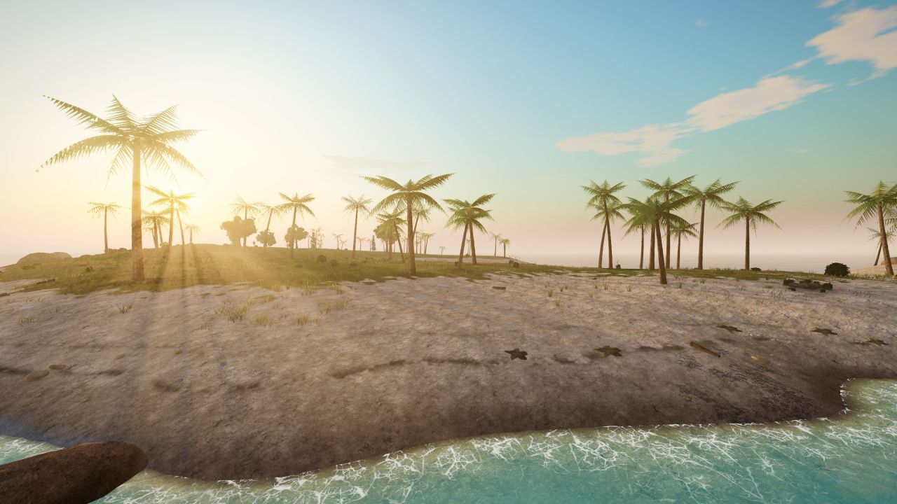Palms on Heron Cay against the low evening sun
